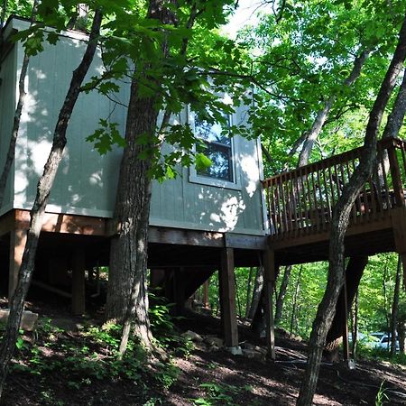 فيلا ينيكسافي Seven Oaks - Treehouse With Deck المظهر الخارجي الصورة